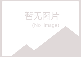 东山区山柏服务有限公司